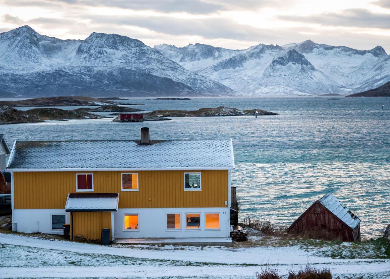 Sommaroya Beach Apartment Tromsø Eksteriør bilde
